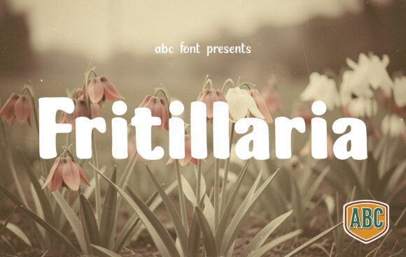Fritillaria: The Handwritten Font That Elevates Modern Design